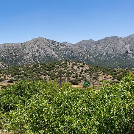 Villa Skyphos Ammoudari Eksteriør bilde